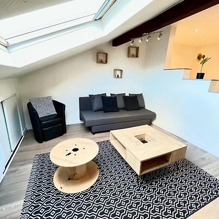 Pin'S - Magnifique Appartement Sarrebourg Exterior foto